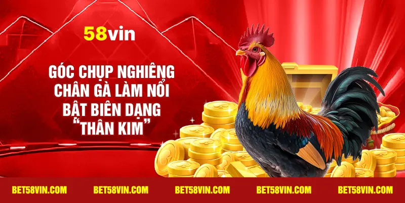 Góc chụp nghiêng chân gà làm nổi bật biên dạng “thân kim”